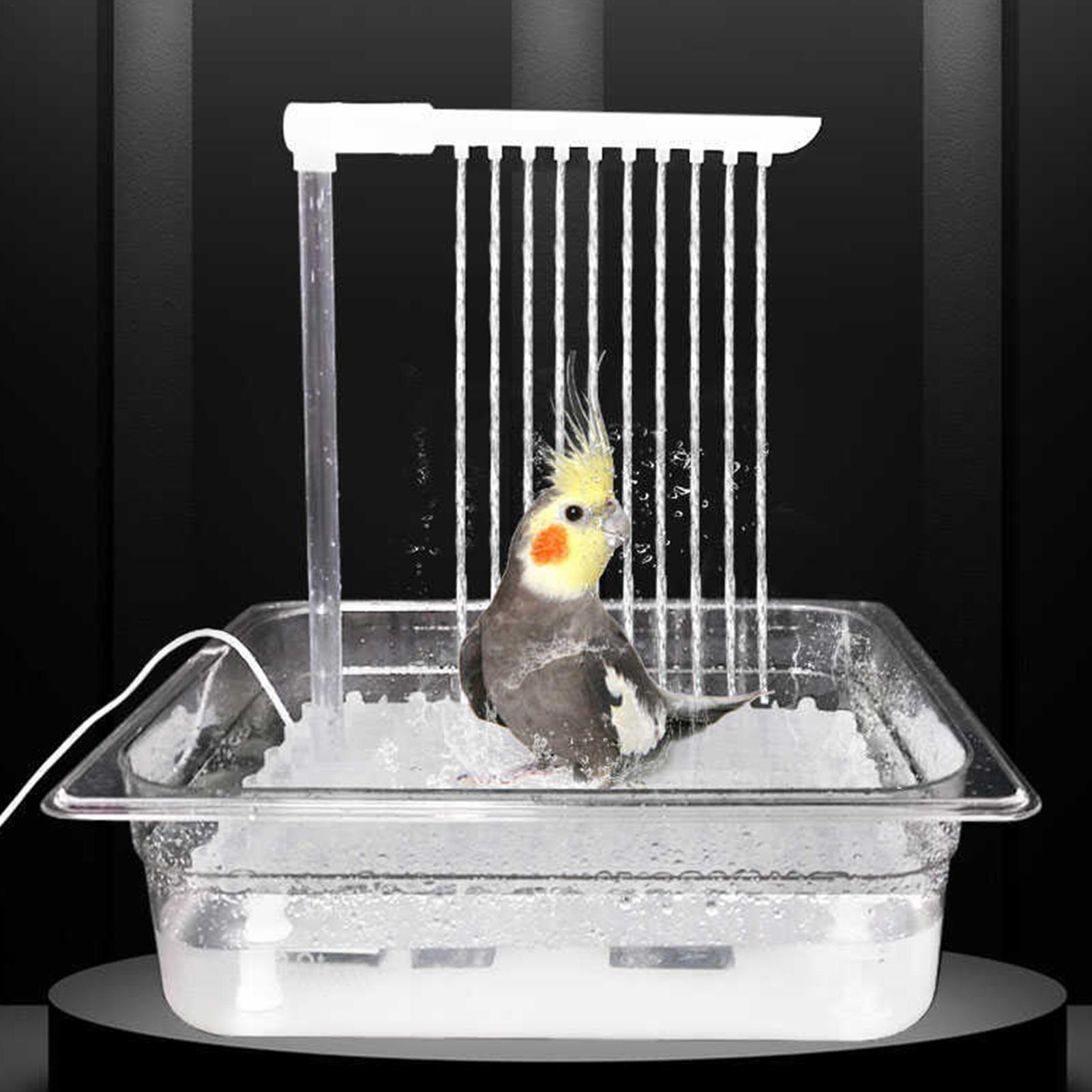 Küçük Orta Boy Conures, Muhabb - Men'S Grooming Products incelemesi ve fiyatı