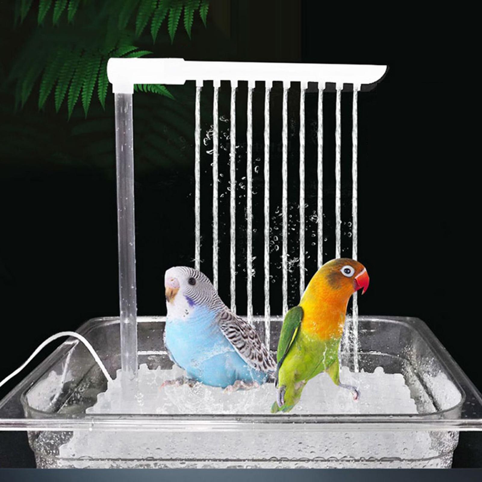 Küçük Orta Boy Conures, Muhabb - Men'S Grooming Products incelemesi ve fiyatı